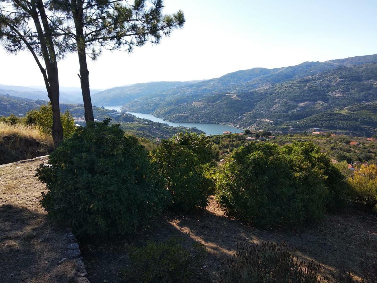Paraiso Hills - Encostas Do Paraiso: Tranquilidade No Douro เรเซนด์ ภายนอก รูปภาพ